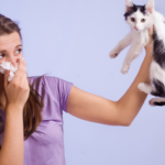Аллергии и Домашние Животные